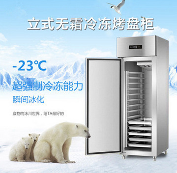 商用冰柜低溫島柜 超市鮮肉餃子與包子的保鮮利器